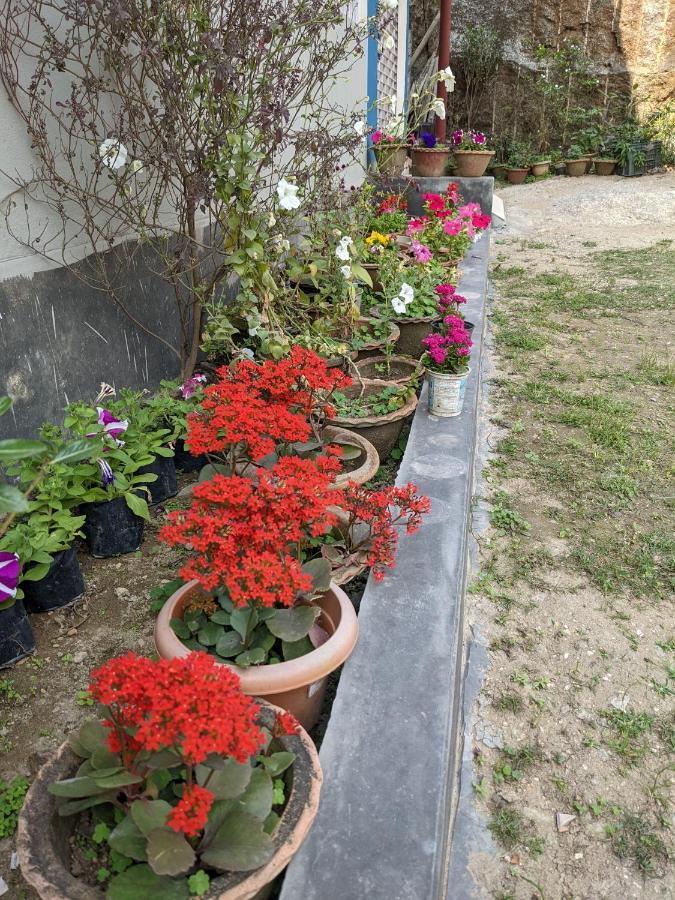 Nilachal Homes Guwahati Eksteriør billede