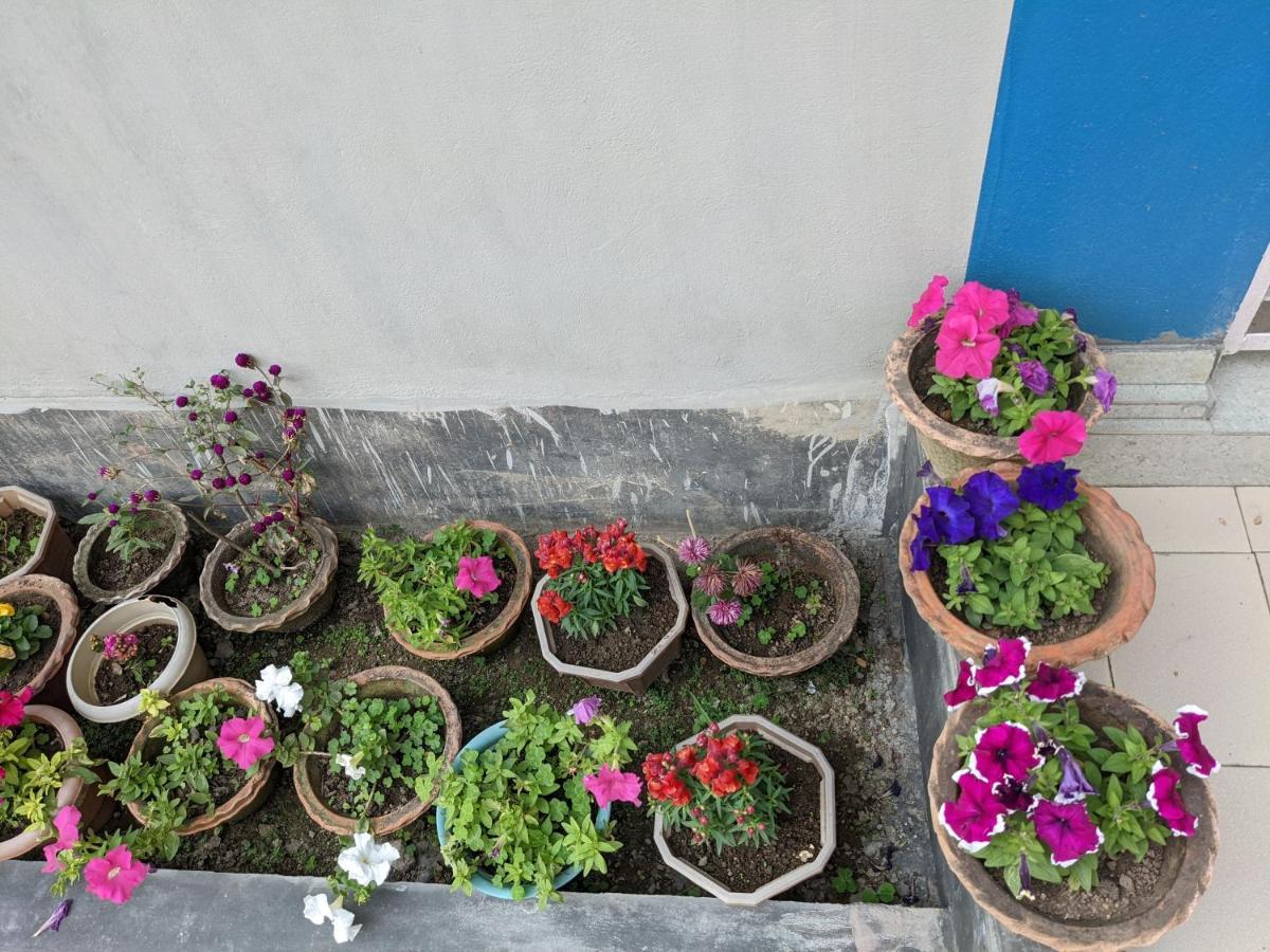 Nilachal Homes Guwahati Eksteriør billede